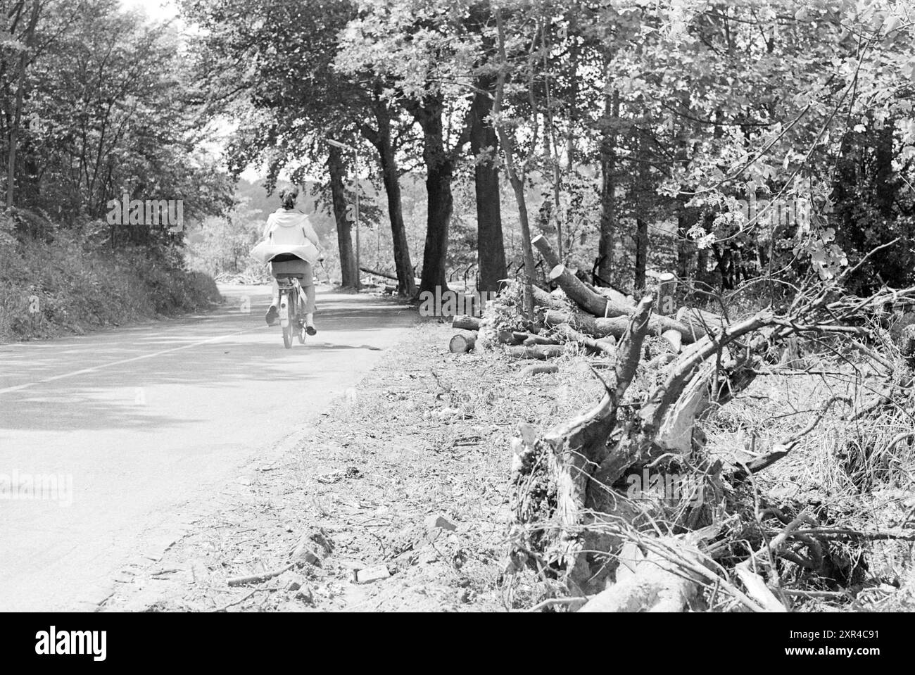 Cut Down [Tree], Middenduinweg, Trees, 21-06-1971, Whizgle Dutch News: Immagini storiche su misura per il futuro. Esplora il passato dei Paesi Bassi con prospettive moderne attraverso le immagini delle agenzie olandesi. Colmare gli eventi di ieri con gli approfondimenti di domani. Intraprendi un viaggio senza tempo con storie che plasmano il nostro futuro. Foto Stock