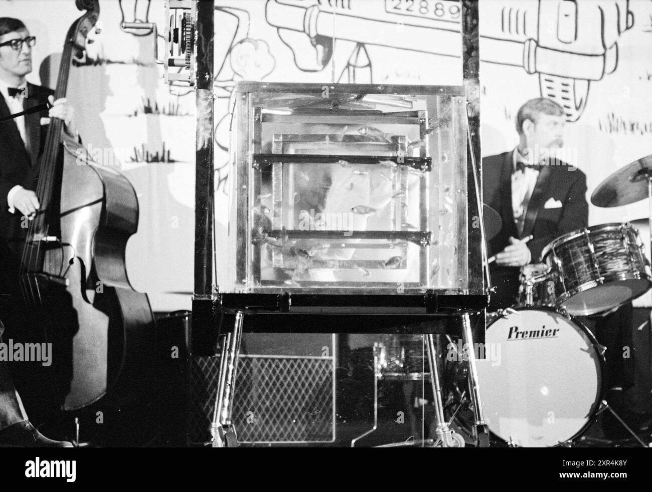 Esibizione contorsionista, contorsionista con musica dal vivo, Whizgle Dutch News: Immagini storiche su misura per il futuro. Esplora il passato dei Paesi Bassi con prospettive moderne attraverso le immagini delle agenzie olandesi. Colmare gli eventi di ieri con gli approfondimenti di domani. Intraprendi un viaggio senza tempo con storie che plasmano il nostro futuro. Foto Stock