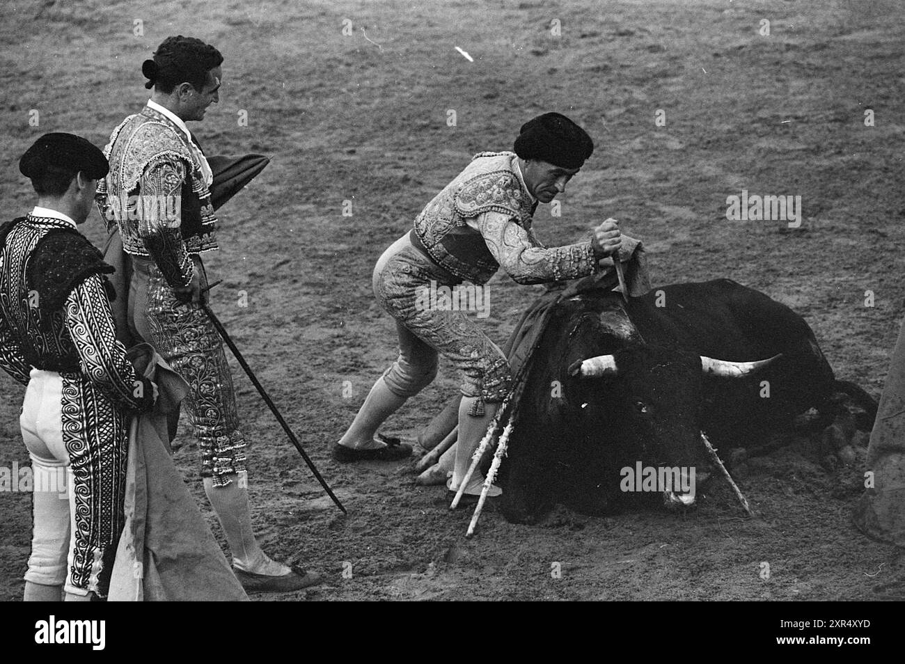 Corrida, Whizgle Dutch News: Immagini storiche su misura per il futuro. Esplora il passato dei Paesi Bassi con prospettive moderne attraverso le immagini delle agenzie olandesi. Colmare gli eventi di ieri con gli approfondimenti di domani. Intraprendi un viaggio senza tempo con storie che plasmano il nostro futuro. Foto Stock