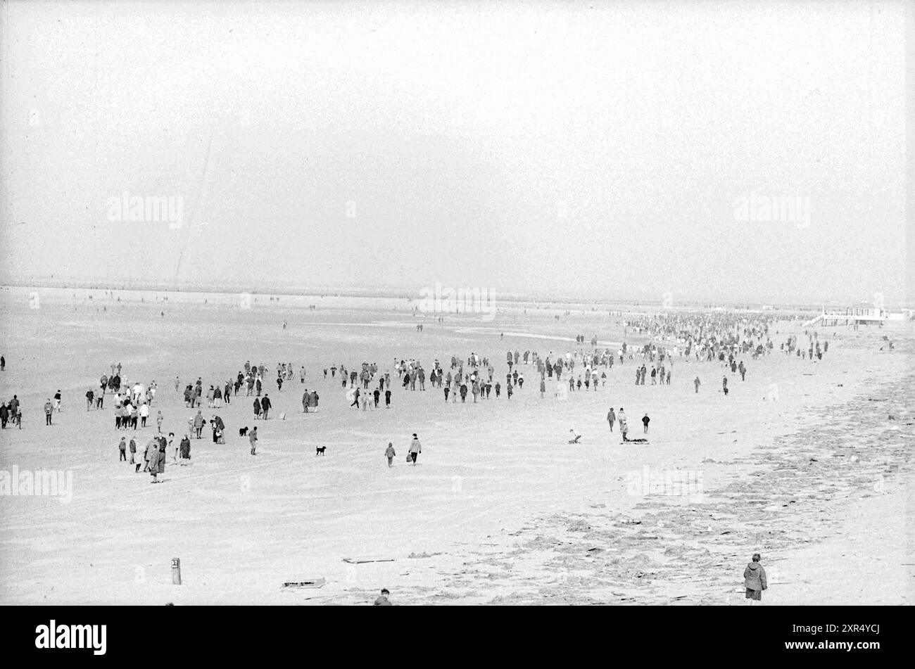 Beach Run, Whizgle Dutch News: Immagini storiche su misura per il futuro. Esplora il passato dei Paesi Bassi con prospettive moderne attraverso le immagini delle agenzie olandesi. Colmare gli eventi di ieri con gli approfondimenti di domani. Intraprendi un viaggio senza tempo con storie che plasmano il nostro futuro. Foto Stock