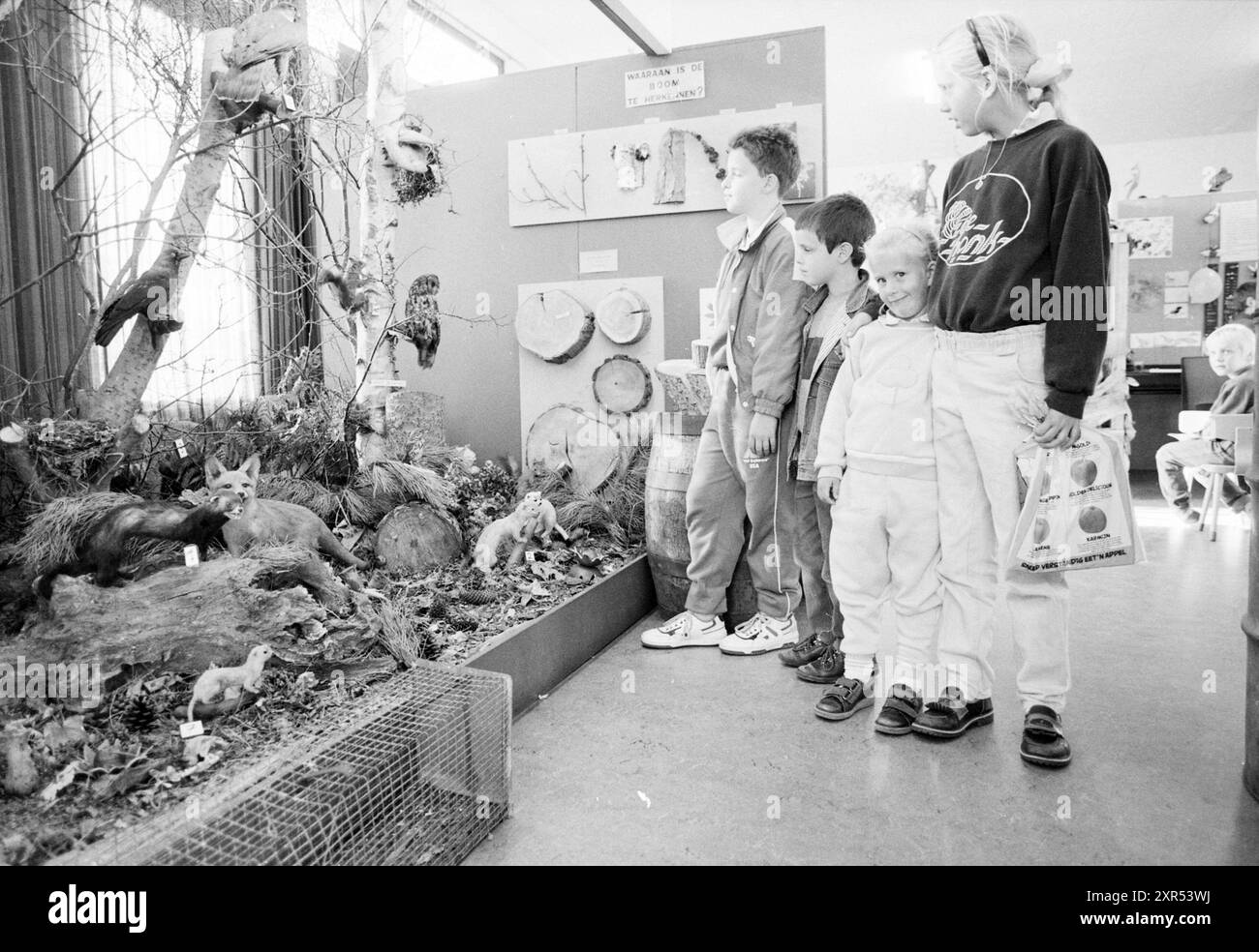 Diorama con animali e materiali provenienti da aree forestali, Noordwijk, 04-10-1989, Whizgle Dutch News: Immagini storiche su misura per il futuro. Esplora il passato dei Paesi Bassi con prospettive moderne attraverso le immagini delle agenzie olandesi. Colmare gli eventi di ieri con gli approfondimenti di domani. Intraprendi un viaggio senza tempo con storie che plasmano il nostro futuro. Foto Stock