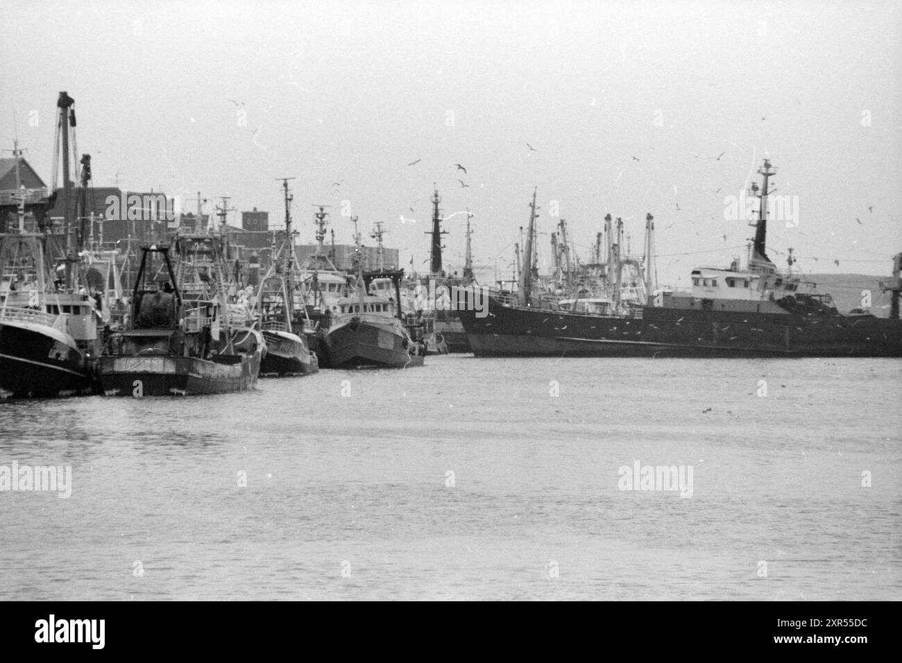Porto affollato di IJmuiden, a causa del freddo assenza di imbarcazioni per Volendam ecc., porti, IJmuiden, Paesi Bassi, 16-01-1987, Whizgle Dutch News: immagini storiche su misura per il futuro. Esplora il passato dei Paesi Bassi con prospettive moderne attraverso le immagini delle agenzie olandesi. Colmare gli eventi di ieri con gli approfondimenti di domani. Intraprendi un viaggio senza tempo con storie che plasmano il nostro futuro. Foto Stock