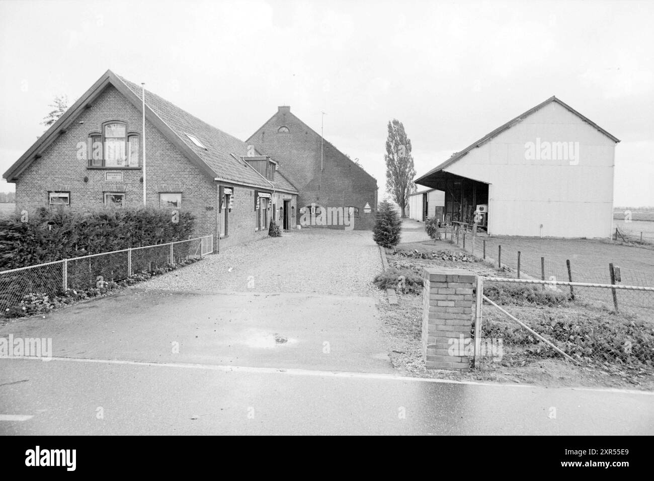 Est. Ida's Farm, Main Road, Farms, Hoofdweg, 08-10-1987, Whizgle Dutch News: immagini storiche su misura per il futuro. Esplora il passato dei Paesi Bassi con prospettive moderne attraverso le immagini delle agenzie olandesi. Colmare gli eventi di ieri con gli approfondimenti di domani. Intraprendi un viaggio senza tempo con storie che plasmano il nostro futuro. Foto Stock