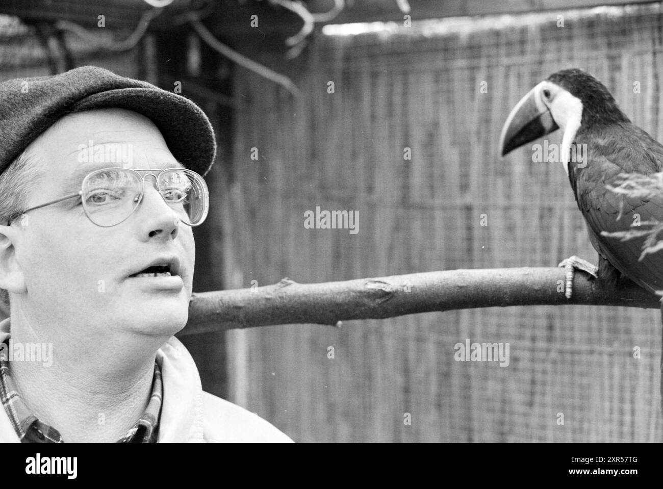 Toucan Breeder, 10-11-1993, Whizgle Dutch News: Immagini storiche su misura per il futuro. Esplora il passato dei Paesi Bassi con prospettive moderne attraverso le immagini delle agenzie olandesi. Colmare gli eventi di ieri con gli approfondimenti di domani. Intraprendi un viaggio senza tempo con storie che plasmano il nostro futuro. Foto Stock