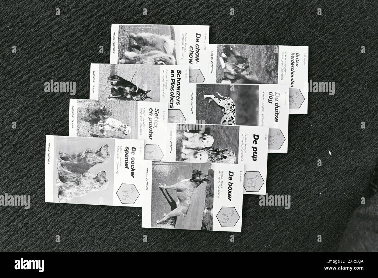 Copertine di libri sulle razze di cani, 00-00-1978, Whizgle Dutch News: Immagini storiche su misura per il futuro. Esplora il passato dei Paesi Bassi con prospettive moderne attraverso le immagini delle agenzie olandesi. Colmare gli eventi di ieri con gli approfondimenti di domani. Intraprendi un viaggio senza tempo con storie che plasmano il nostro futuro. Foto Stock
