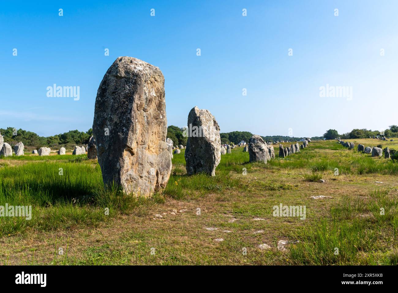 Allineamenti megalitici da Carnac in Francia Foto Stock