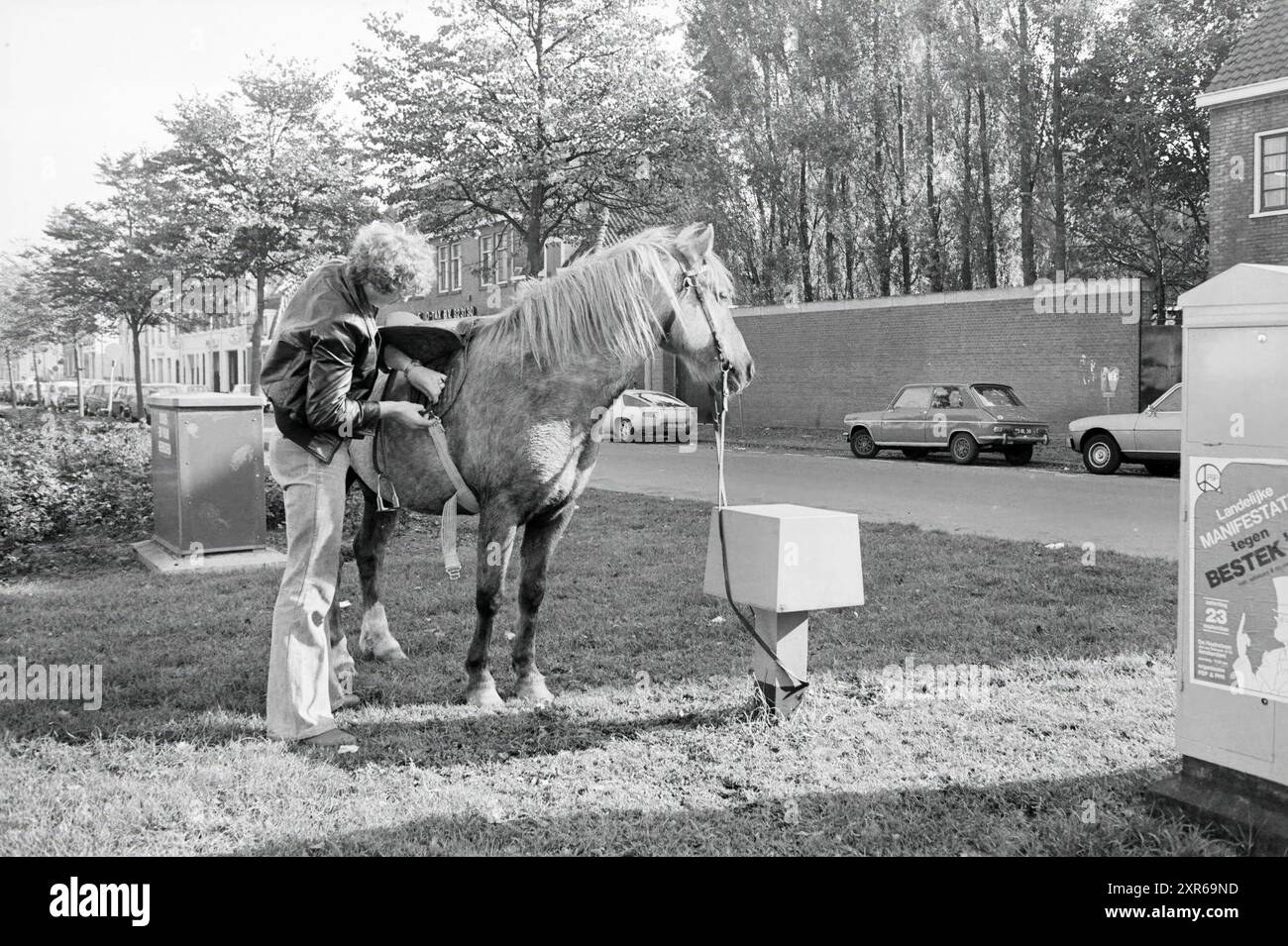 Uomo con cavallo nella riserva centrale di Parklaan Haarlem, Haarlem, Parklaan, Paesi Bassi, 11-10-1978, Whizgle Dutch News: immagini storiche su misura per il futuro. Esplora il passato dei Paesi Bassi con prospettive moderne attraverso le immagini delle agenzie olandesi. Colmare gli eventi di ieri con gli approfondimenti di domani. Intraprendi un viaggio senza tempo con storie che plasmano il nostro futuro. Foto Stock