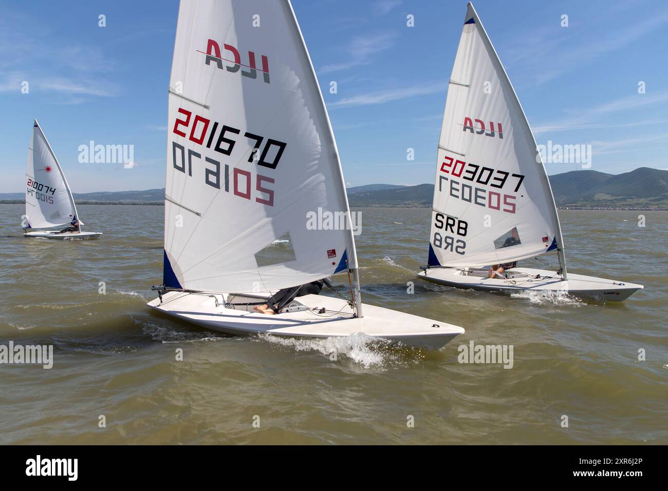 Golubac, Serbia, 7 giugno 2024: Le barche a vela si scontrano per la posizione in una regata di classe laser sul Danubio. Foto Stock