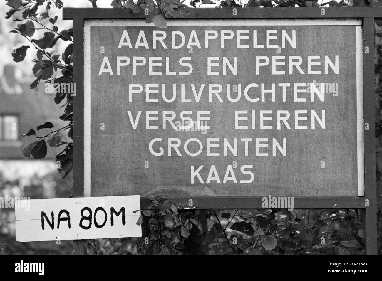 Gli agricoltori stessi vendono i loro prodotti nella fattoria, Farms, 23-10-1980, Whizgle Dutch News: Immagini storiche su misura per il futuro. Esplora il passato dei Paesi Bassi con prospettive moderne attraverso le immagini delle agenzie olandesi. Colmare gli eventi di ieri con gli approfondimenti di domani. Intraprendi un viaggio senza tempo con storie che plasmano il nostro futuro. Foto Stock