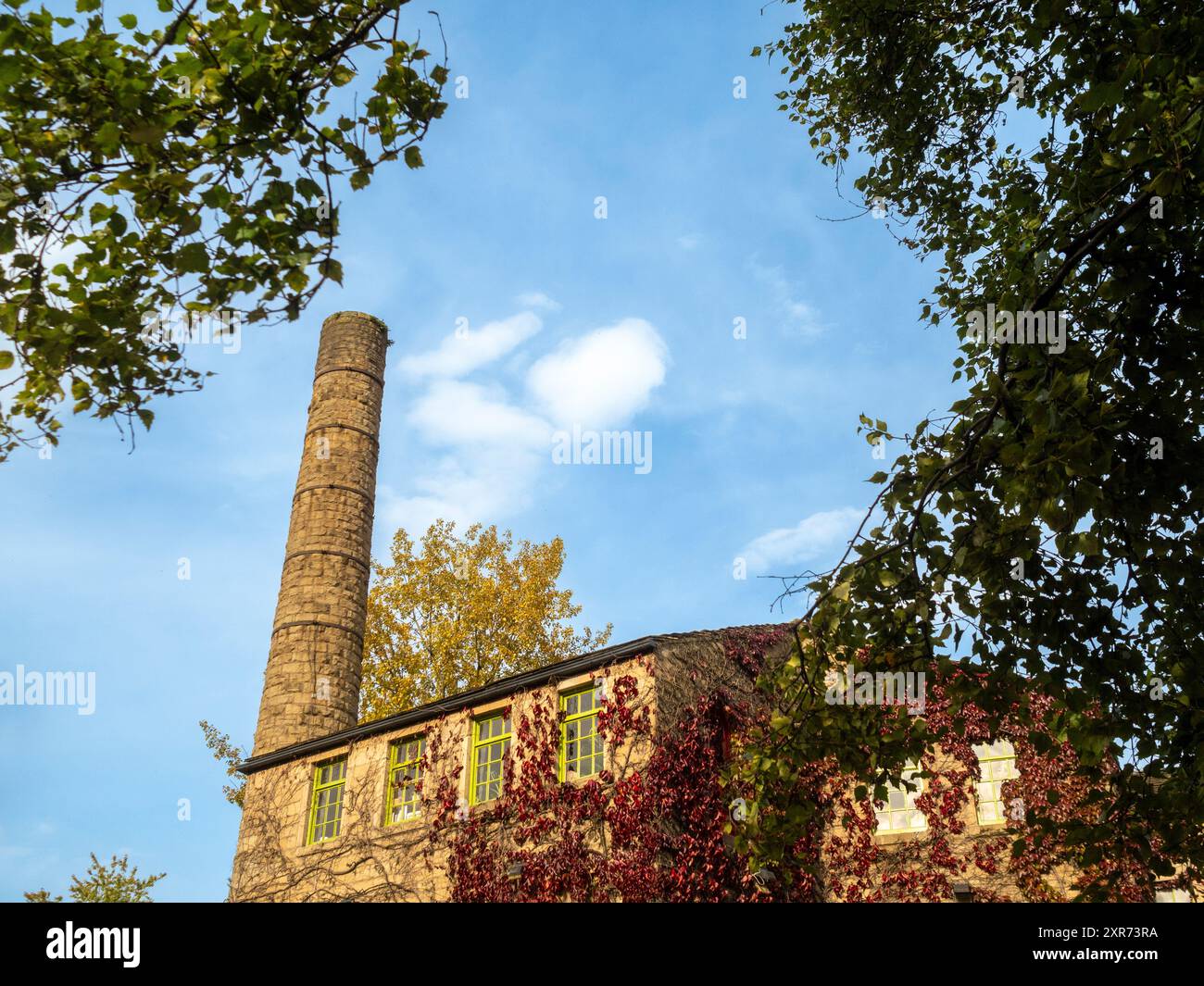 L'esterno di Hebden Bridge Mill è coperto in Virginia Creeper in autunno. L'ex mulino è ora un caffè e un punto vendita al dettaglio. Ponte di Hebdon. West Yorkshire Foto Stock