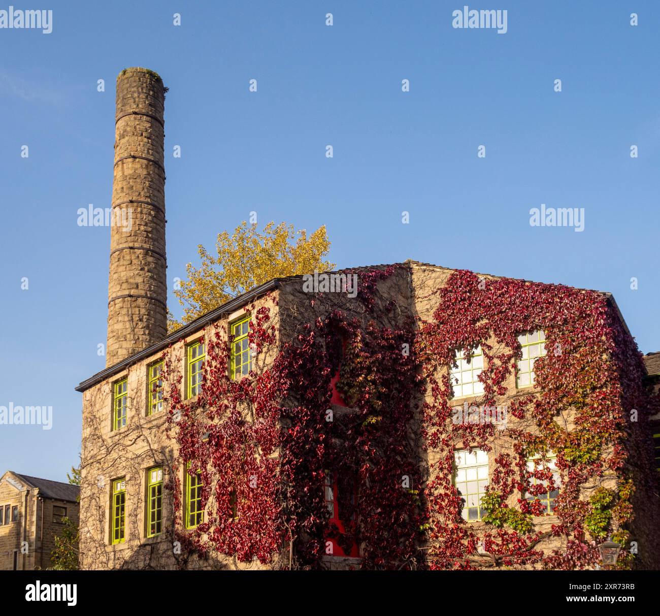 L'esterno di Hebden Bridge Mill è coperto in Virginia Creeper in autunno. L'ex mulino è ora un caffè e un punto vendita al dettaglio. Ponte di Hebdon. West Yorkshire Foto Stock