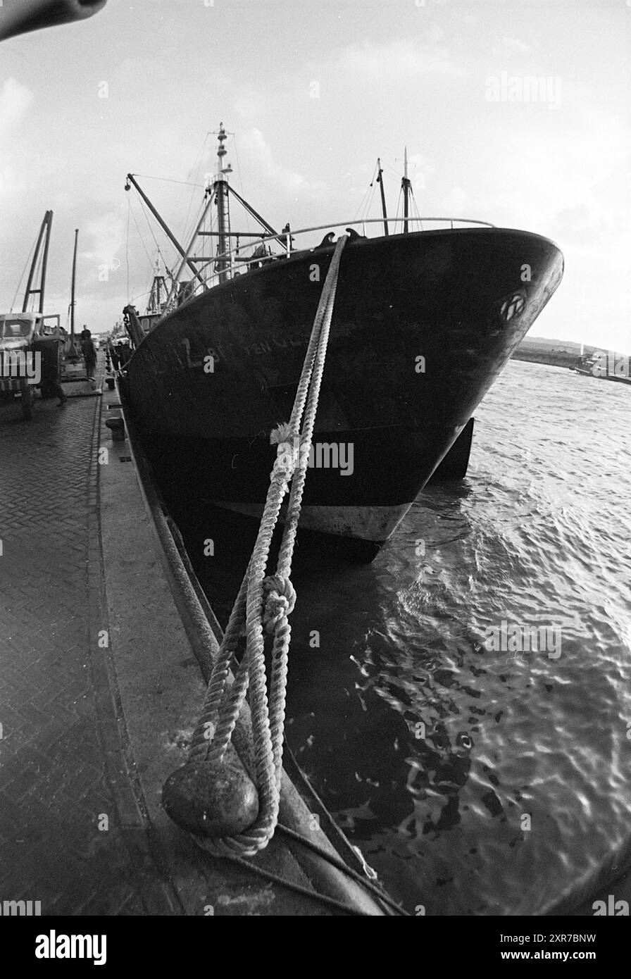 Kees Duyvenbode lavora nel porto di IJmuiden, persone, pesca e altri, pescivendoli, pesca, 11-12-1964, Whizgle Dutch News: immagini storiche su misura per il futuro. Esplora il passato dei Paesi Bassi con prospettive moderne attraverso le immagini delle agenzie olandesi. Colmare gli eventi di ieri con gli approfondimenti di domani. Intraprendi un viaggio senza tempo con storie che plasmano il nostro futuro. Foto Stock