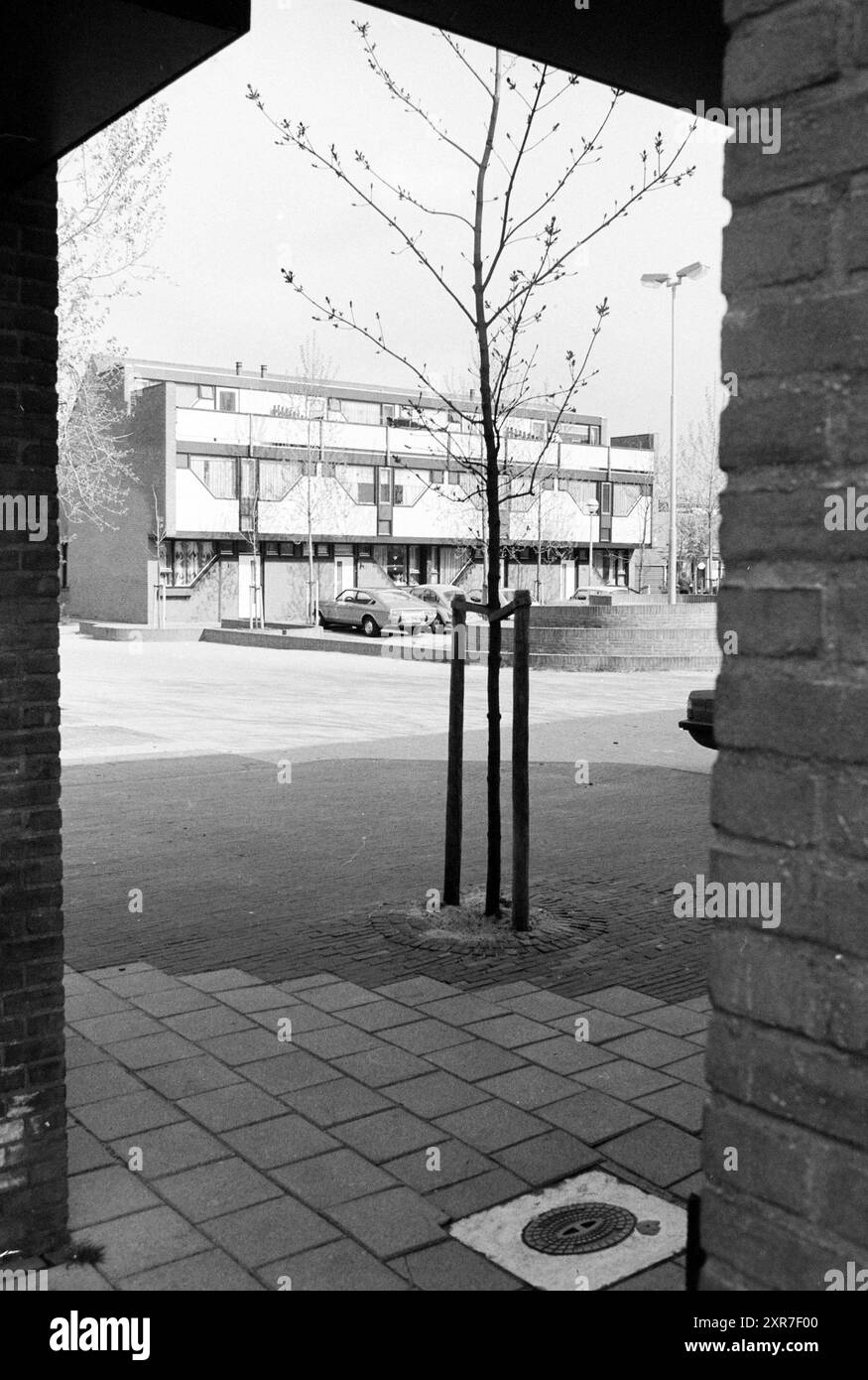 Case in truciolato esterne, edifici e case, 21-04-1980, Whizgle Dutch News: Immagini storiche su misura per il futuro. Esplora il passato dei Paesi Bassi con prospettive moderne attraverso le immagini delle agenzie olandesi. Colmare gli eventi di ieri con gli approfondimenti di domani. Intraprendi un viaggio senza tempo con storie che plasmano il nostro futuro. Foto Stock