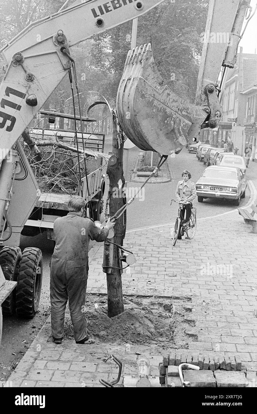 Rimozione di un albero dalla scena di strada, Whizgle Dutch News: Immagini storiche su misura per il futuro. Esplora il passato dei Paesi Bassi con prospettive moderne attraverso le immagini delle agenzie olandesi. Colmare gli eventi di ieri con gli approfondimenti di domani. Intraprendi un viaggio senza tempo con storie che plasmano il nostro futuro. Foto Stock