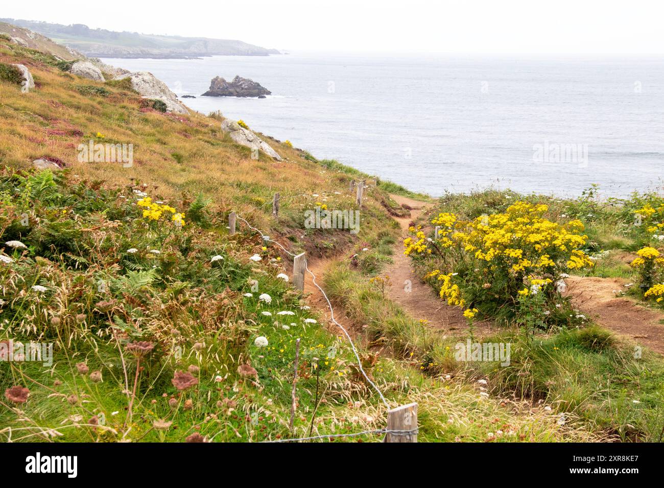 Douarnenez. Beuzec-cap-Sizun. Sentiero costiero fino alla Pointe du Millier sotto la nebbia marina. Foto Stock