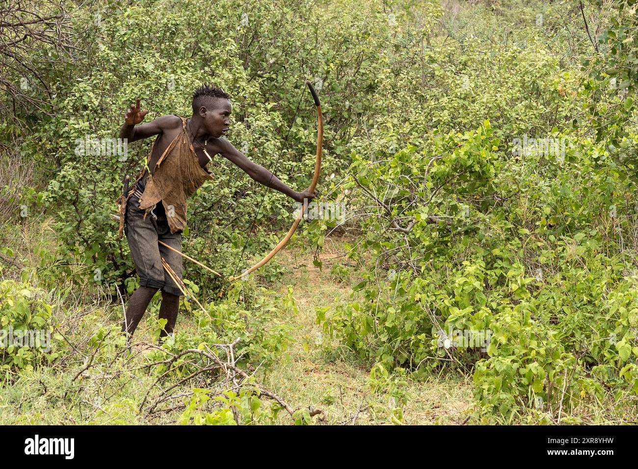 La caccia, la preda, la tribù degli Hadzabe, i cacciatori-raccoglitori, la Tanzania Foto Stock