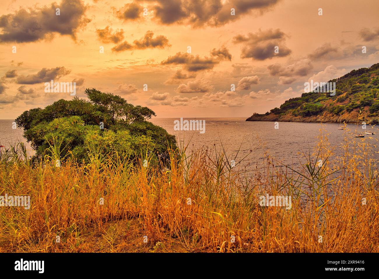 Abbraccia la tranquilla bellezza di un tramonto costiero, dove la natura dipinge il cielo con sfumature dorate e ogni onda sussurra storie del profondo blu del mare Foto Stock