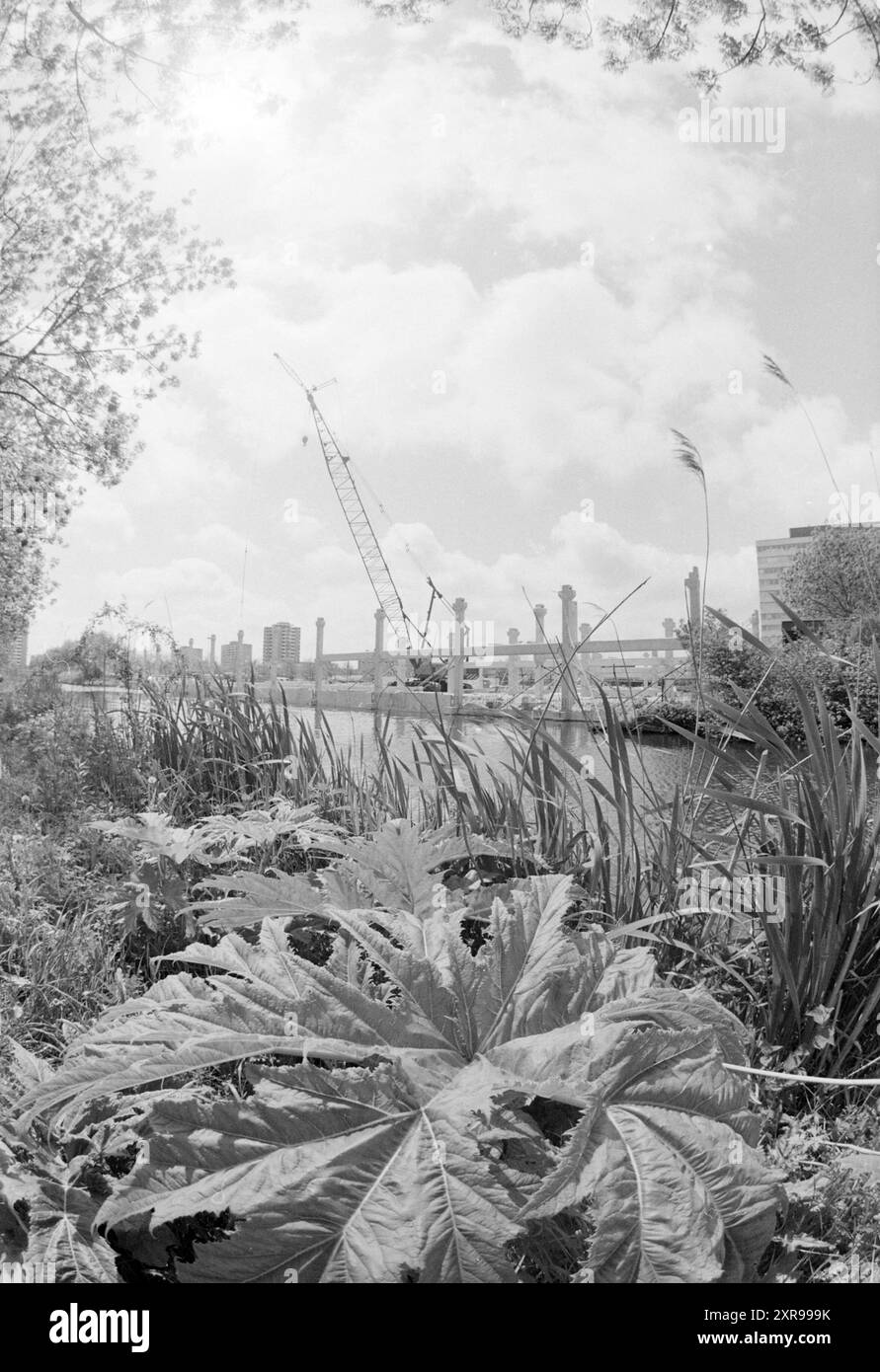 Costruzione del parcheggio Schalkwijk, Haarlem, Paesi Bassi, 21-05-1991, Whizgle Dutch News: Immagini storiche su misura per il futuro. Esplora il passato dei Paesi Bassi con prospettive moderne attraverso le immagini delle agenzie olandesi. Colmare gli eventi di ieri con gli approfondimenti di domani. Intraprendi un viaggio senza tempo con storie che plasmano il nostro futuro. Foto Stock