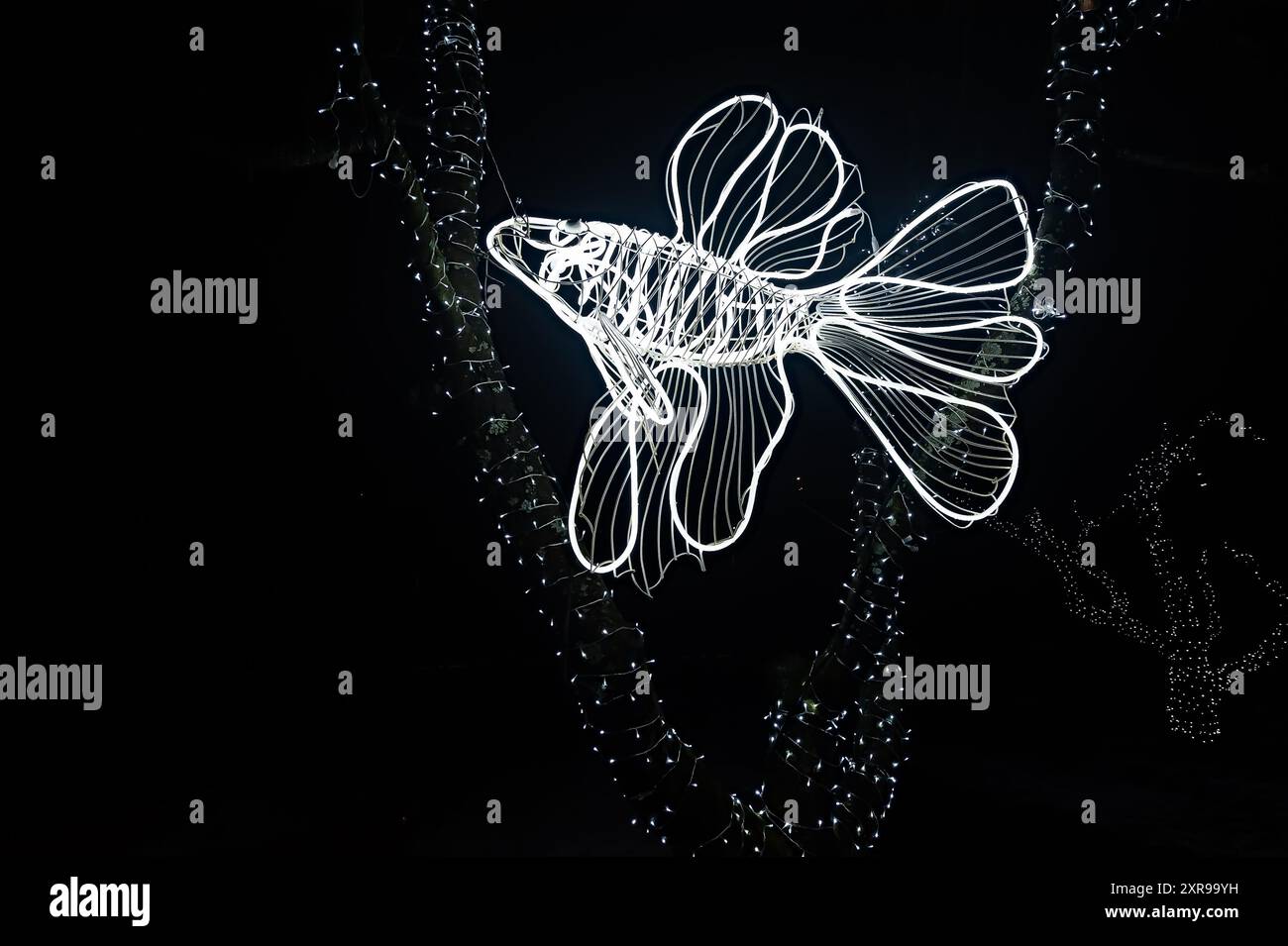 Decorazioni da esterno con grande silhouette di pesci bianchi luminosi Foto Stock