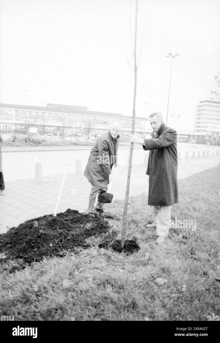 Piantare alberi nel parcheggio di Schiphol. Klaver- en Stoepman, Schiphol, Schiphol, 22-11-1982, Whizgle Dutch News: Immagini storiche su misura per il futuro. Esplora il passato dei Paesi Bassi con prospettive moderne attraverso le immagini delle agenzie olandesi. Colmare gli eventi di ieri con gli approfondimenti di domani. Intraprendi un viaggio senza tempo con storie che plasmano il nostro futuro. Foto Stock