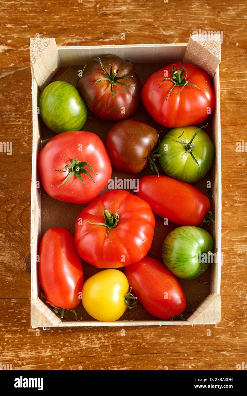 In einer kleinen Holzkiste liegen verschiedene Tomatensorten. SIE sind normal rot, dunkel rot, gelb und Grün gestreift. Es sind Fleischtomaten runde T Foto Stock