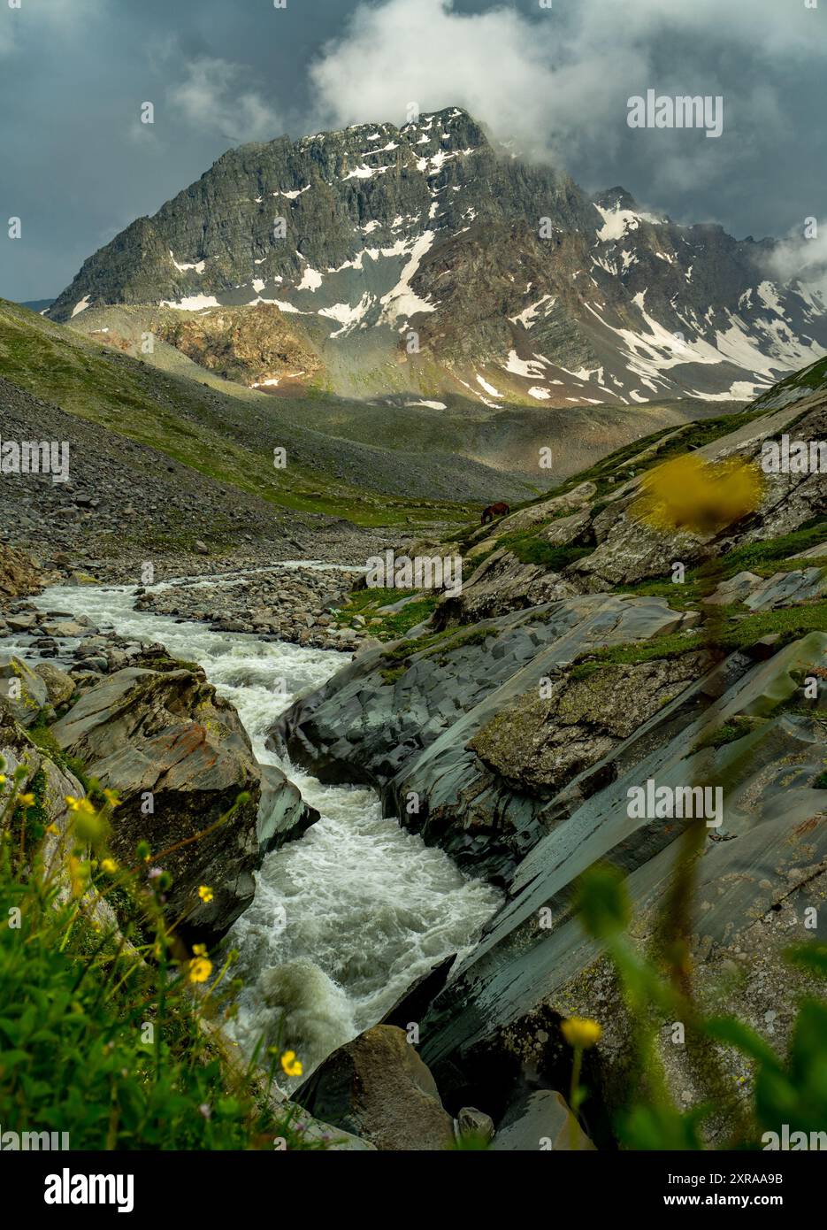 Esplora gli splendidi fiumi glaciali della valle di Chamba e le imponenti vette dell'Himalaya, tra cui il sacro pellegrinaggio mani Mahesh Kailash di Lord Shiva. Himac Foto Stock