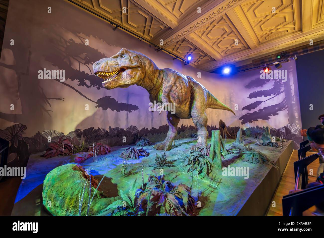 Dinosauro T Rex all'interno del Museo di storia naturale di Londra, un dinosauro animatronico Tyrannosaurus rex. Visita gli scheletri dei dinosauri e le ossa a Londra, Inghilterra Foto Stock