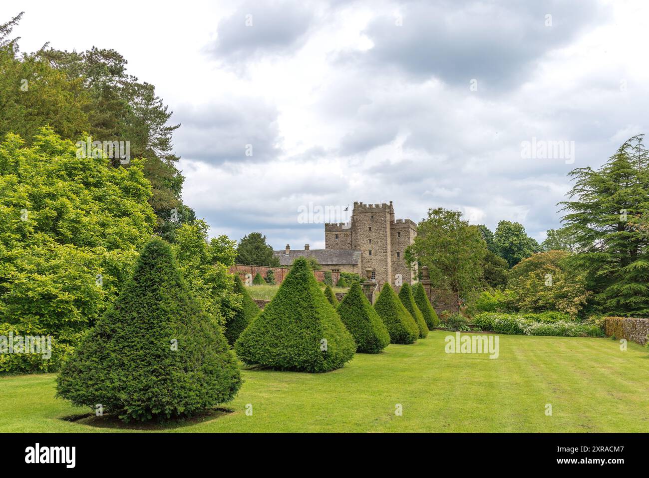 Arbusti piramidali topiari nello storico castello di Sizergh e giardino a Helsington, nella contea inglese della Cumbria. Foto Stock