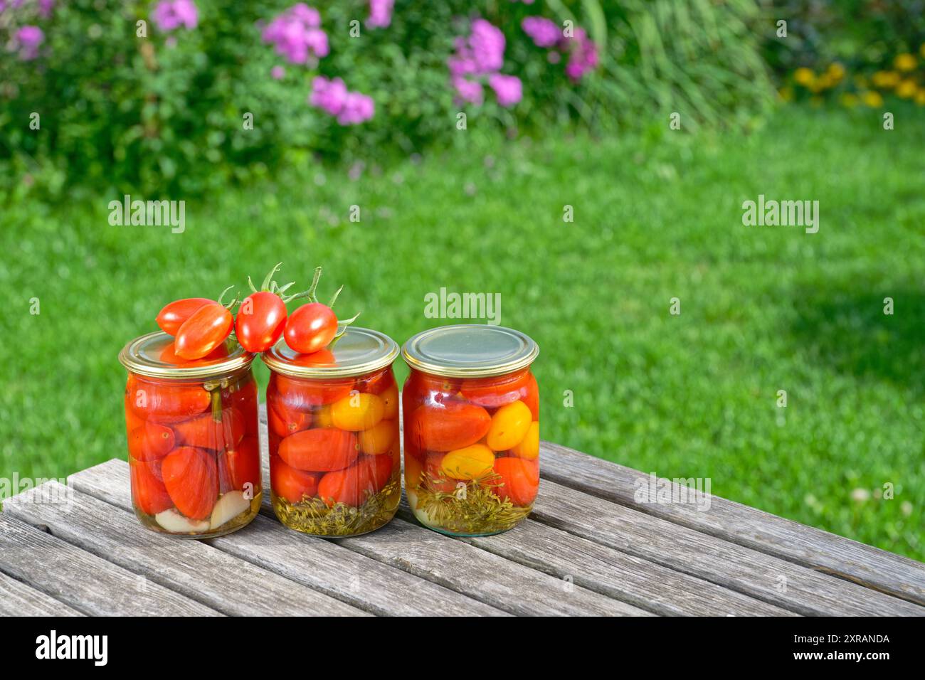 Vasetti di vetro con pomodori sottaceto fatti in casa, sigillati con coperchi in metallo Foto Stock