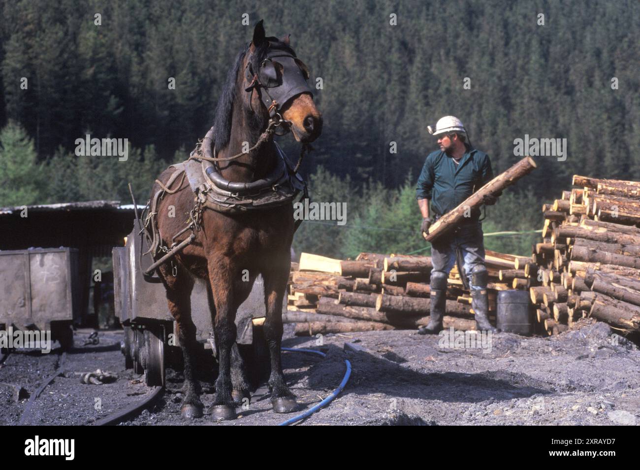 Nant-y-Cafn, West Glamorgan, Galles, Regno Unito, anni 1990 Nant-y-Cafn Colliery, miniera di carbone a cielo aperto gallese di proprietà privata che ancora utilizzava i tradizionali Pony Pit. 1990 HOMER SYKES Foto Stock