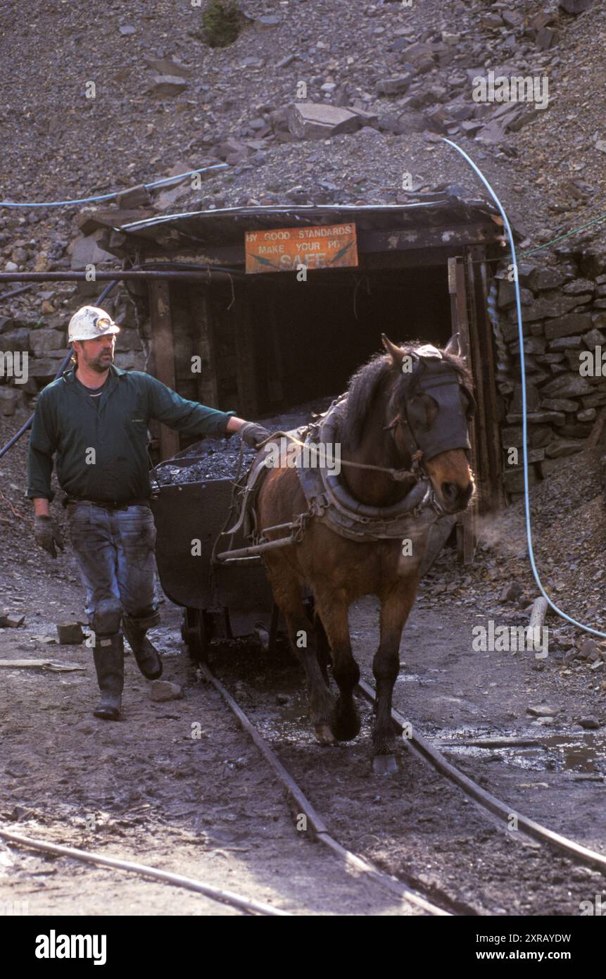 Nant-y-Cafn, West Glamorgan, Galles, Regno Unito, anni 1990 Nant-y-Cafn Colliery, miniera di carbone a cielo aperto gallese di proprietà privata che ancora utilizzava i tradizionali Pony Pit. 1990 HOMER SYKES Foto Stock