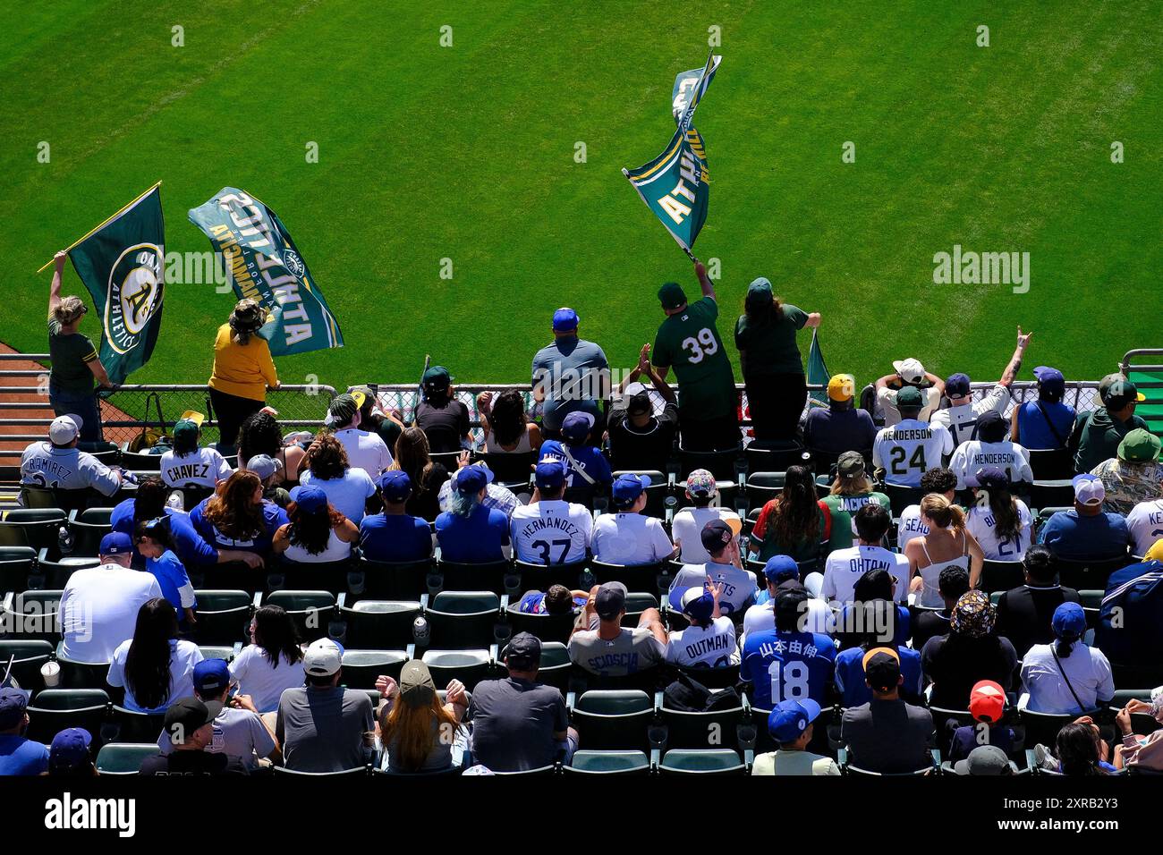 OAKLAND, CALIFORNIA - 04 AGOSTO: Gli Oakland Athletics muoiono i tifosi duri ondate di bandiere nel nono inning durante la partita contro i Los Angeles Dodgers Foto Stock