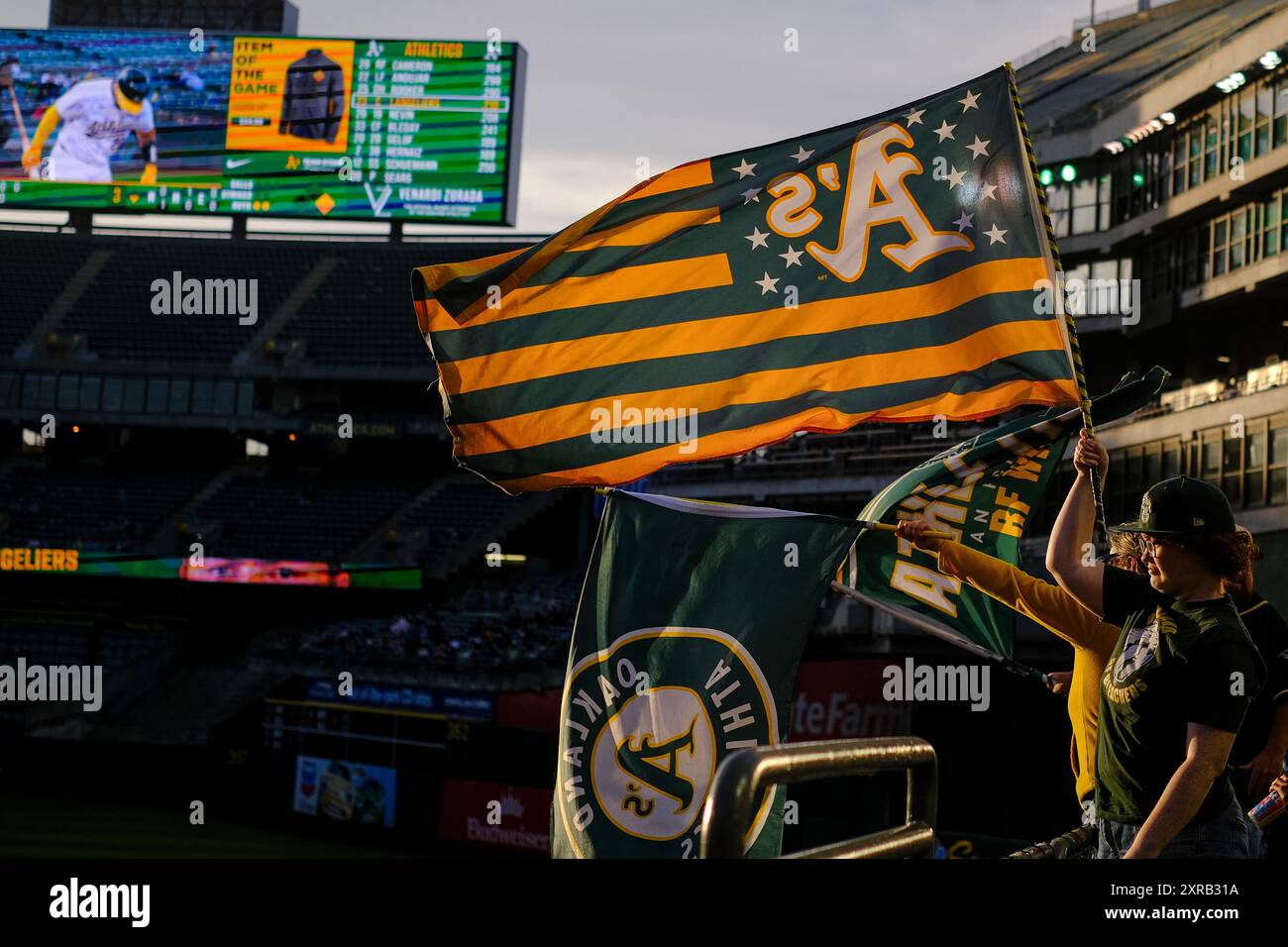 OAKLAND, CALIFORNIA - 5 AGOSTO: Gli Oakland Athletics muoiono i tifosi duri sventolano bandiere durante la partita contro i Chicago White Sox all'Oakland Coliseum il 5 agosto 2024 a Oakland, California. La presenza annunciata fu di 4.971 spettatori, il 14° più basso totale finora nella stagione 2024. (Foto di Michael Yanow/immagine dello sport) Foto Stock
