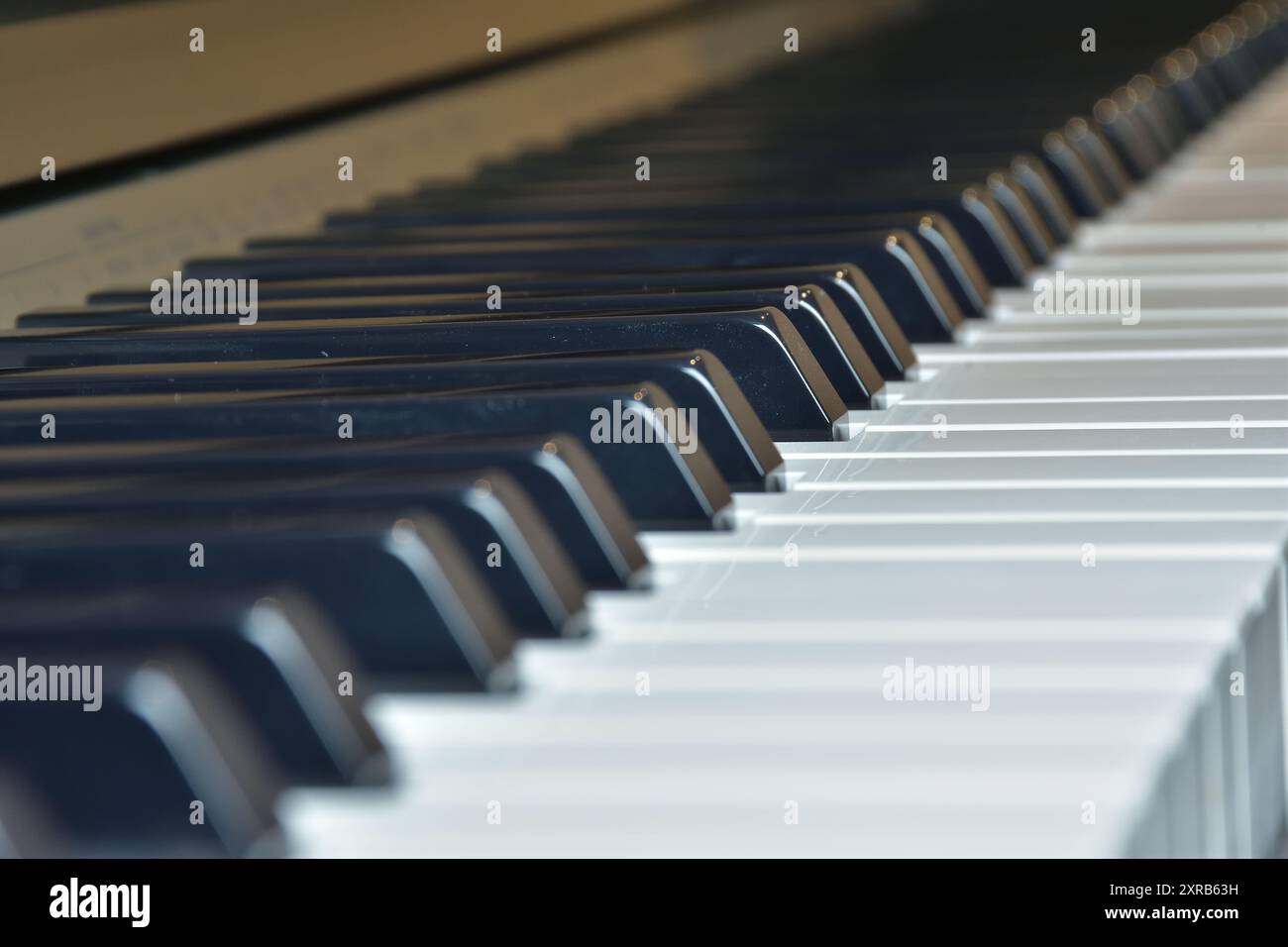 Vista laterale della tastiera piano. Strumento musicale. Tasti per pianoforte in bianco e nero Foto Stock