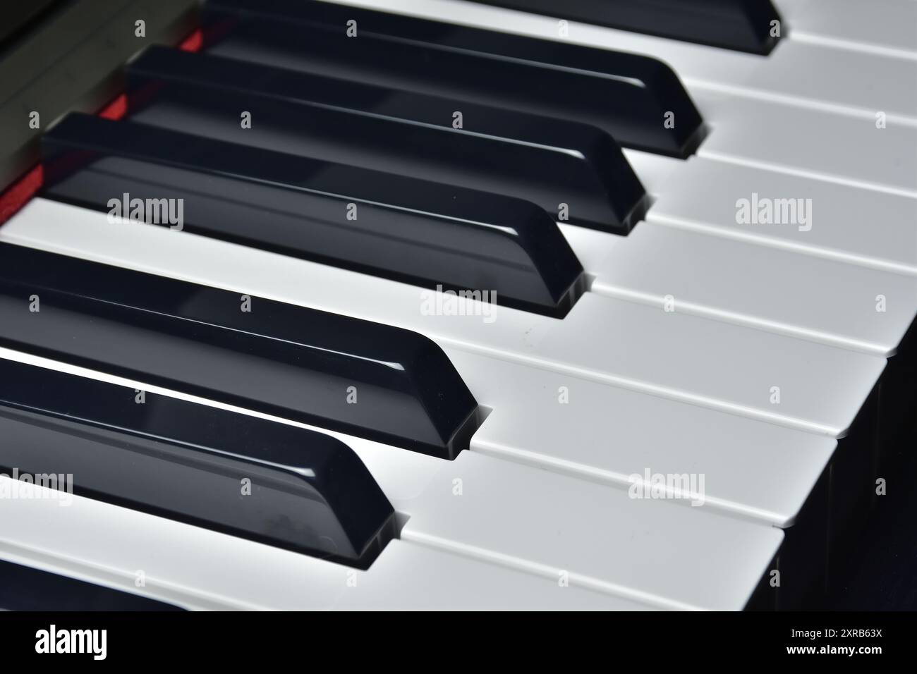 Primo piano della vista laterale della tastiera piano. Strumento musicale. Tasti per pianoforte in bianco e nero Foto Stock