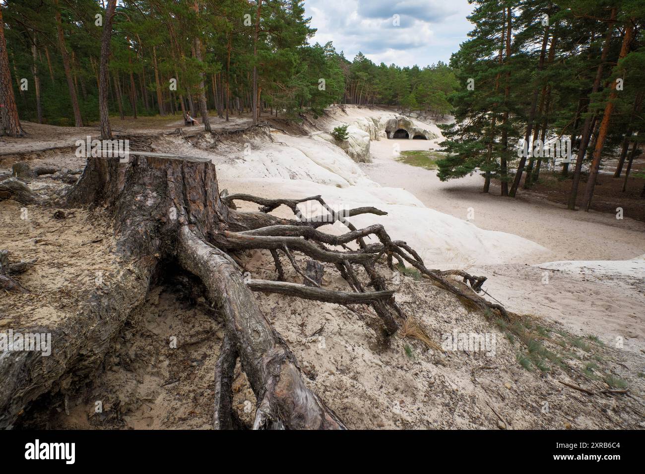 09.08.2024 Die großen und Kleinen Sandhöhlen bei Blankenburg im Landkreis Harz in Sachsen-Anhalt sind ein Kulturdenkmal. SIE liegen bei Blankenburg im Heers genannten Waldgebiet nordöstlich unterhalb des Regensteins. Es wird vermutet, dass sich dort in frühgeschichtlicher Zeit ein germanischer Thingplatz befunden Hat. Der hier abgebaute sehr feine Quarzsand wurde früher als Scheuersand sowie als Streusand zur Reinigung von Dielenböden benutzt. Die Sandhöhlen sind in das System der Stempelstellen der Harzer Wandernadel einbezogen. Diese stelle erhielt das Prädikat Schönste Stempelstelle des Jah Foto Stock