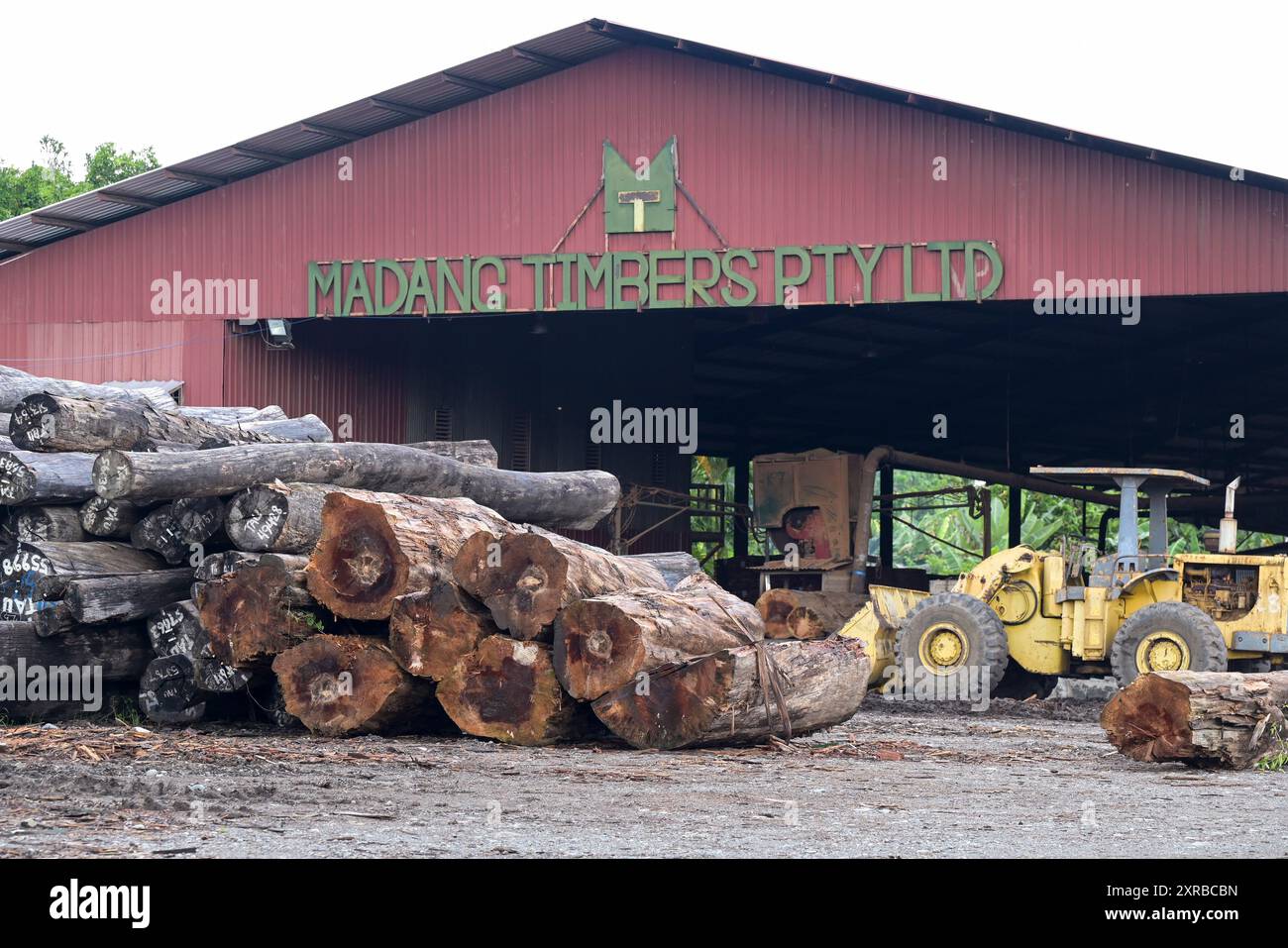 PAPUA NUOVA GUINEA, Madang, società di legname Madang Timbers Pty. Ltd. Di proprietà di malaysian Woodbank Pacific Limited e WTK Group / PAPUA NEUGUINEA, Madang, Forst- und Holzfirma Madang Timbers Pty. Ltd Foto Stock