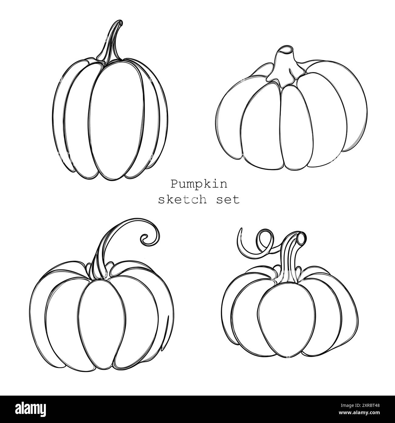 Set di schizzi di zucca. Zucca Line Art disegnata a mano in omaggio, modello di zucca Halloween. adesivo autunnale Foto Stock