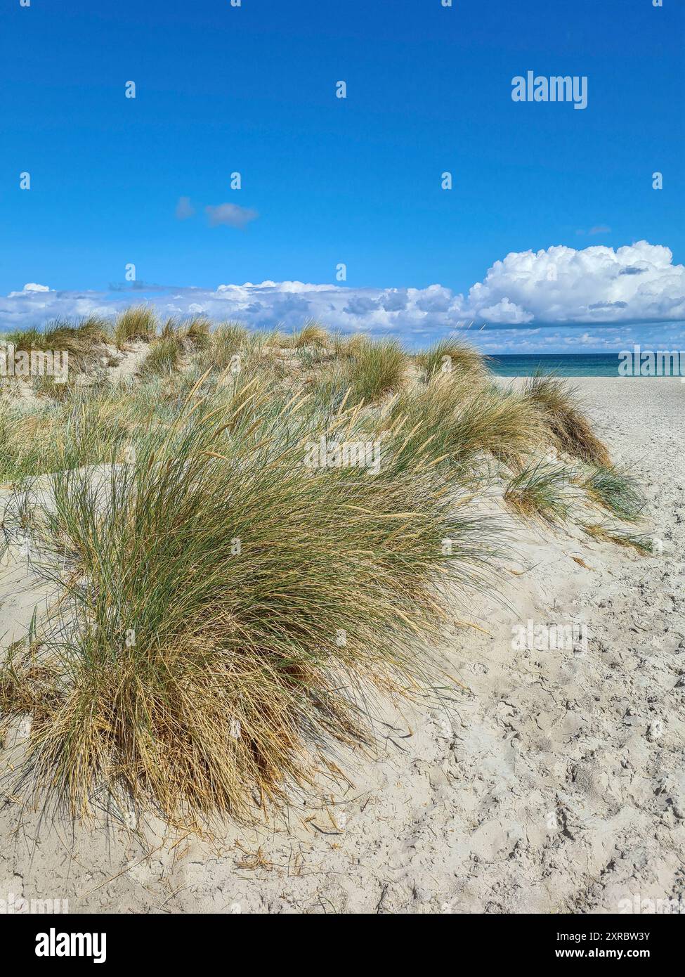 Attraversamento di una spiaggia su un sentiero che attraversa dune fino al mare in una giornata estiva di agosto, cielo azzurro nella località balneare baltica di Prerow, Meclemburgo-Vorpommern, Foto Stock