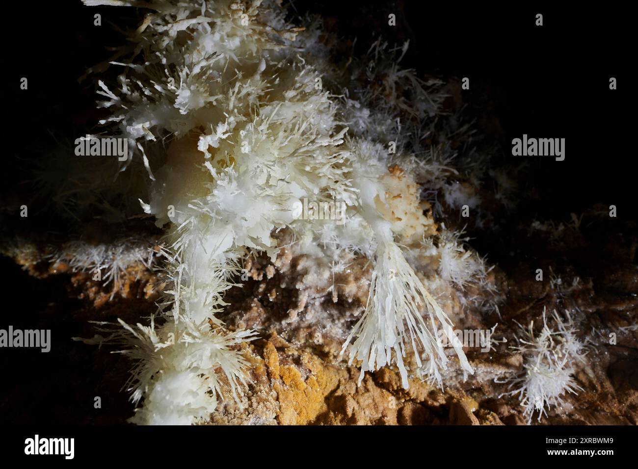 Grotte de l'Asperge nel dipartimento di Herault, Francia Foto Stock