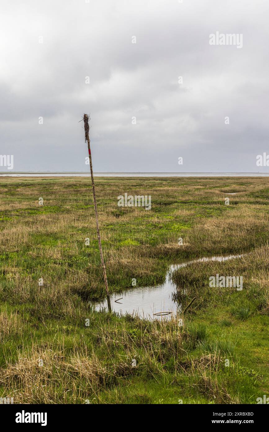 Fairway, Marking, Prigge (Pricke) sul Mare del Nord, Germania Foto Stock