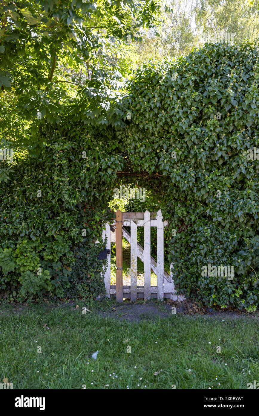 Amiens Frankreich 08082024 - Ein Tor in einer Hecke die Hortillonnages d Amiens auf Picardisch: ches hortillonnaches Anmiens sind ein 300 Hektar Großes Gebiet ehemaliger Suempfe im Osten der Stadt Amiens und auf dem Gebiet der Gemeinden Rivery, Camon und Longueau, die im Mittelalter, wahrscheinlich 12. Jahrhundert angelegt wurden, um für den Gemüueeanbau nutzbare Felder zu schaffen. Amiens ist die Hauptstadt des franzoesischen DÃ partements somme in der Region Hauts-de-France. Es War die Hauptstadt der Picardie und ist unter anderem durch Seine Kathedrale beruehmt. Amiens Hauts de fra Foto Stock