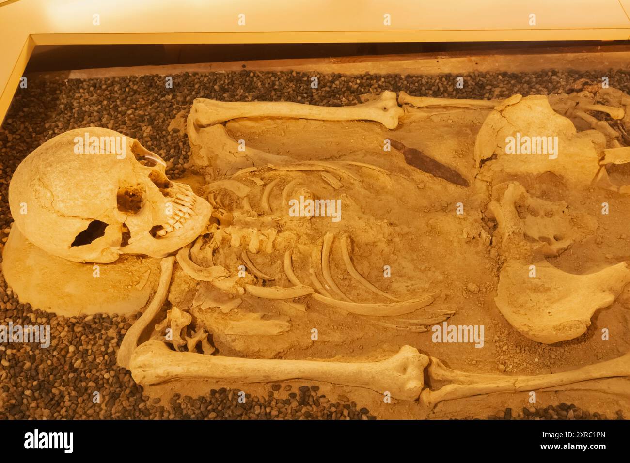 Inghilterra, Kent, Folkestone, Museo Folkestone, mostra di resti di sepoltura anglosassoni 'Aefre' datati 6-VII secolo d.C. Foto Stock