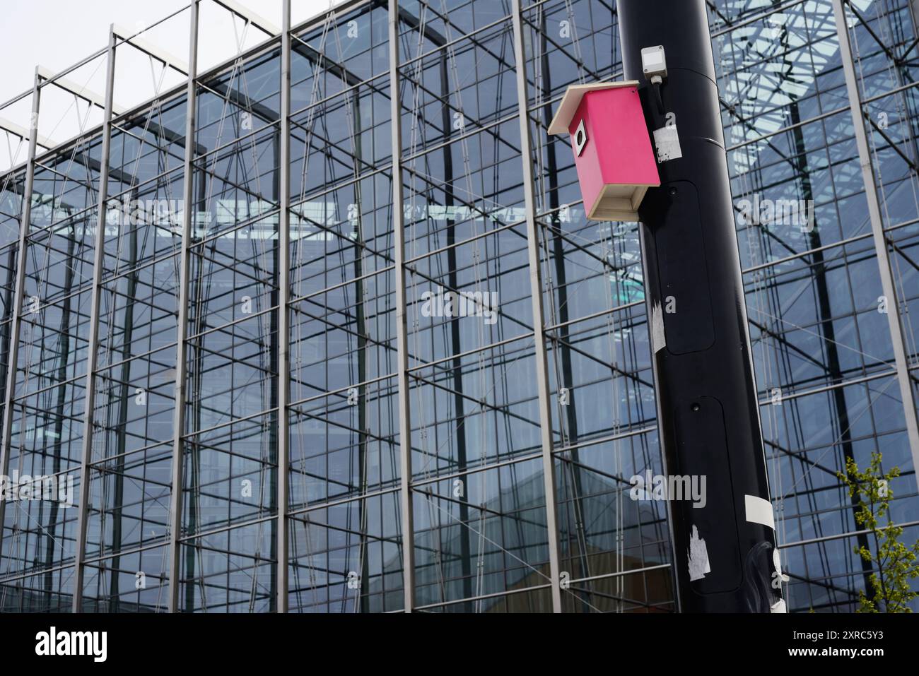 Questa immagine presenta un contrasto sorprendente tra un moderno edificio in vetro e una casa per uccelli rosa luminosa montata su un palo nero. L'edificio e' complicato Foto Stock