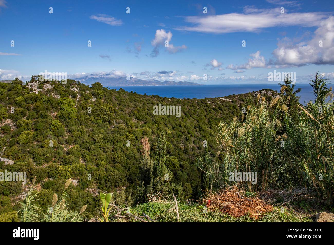 Tipico paesaggio greco, natura mediterranea della Grecia, paesaggio girato durante il giorno a Zante, Isole Ionie, Grecia Foto Stock