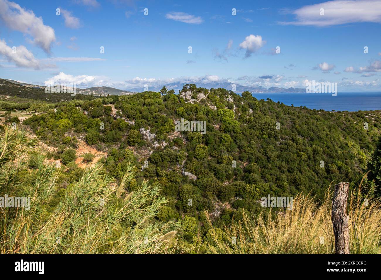 Tipico paesaggio greco, natura mediterranea della Grecia, paesaggio girato durante il giorno a Zante, Isole Ionie, Grecia Foto Stock