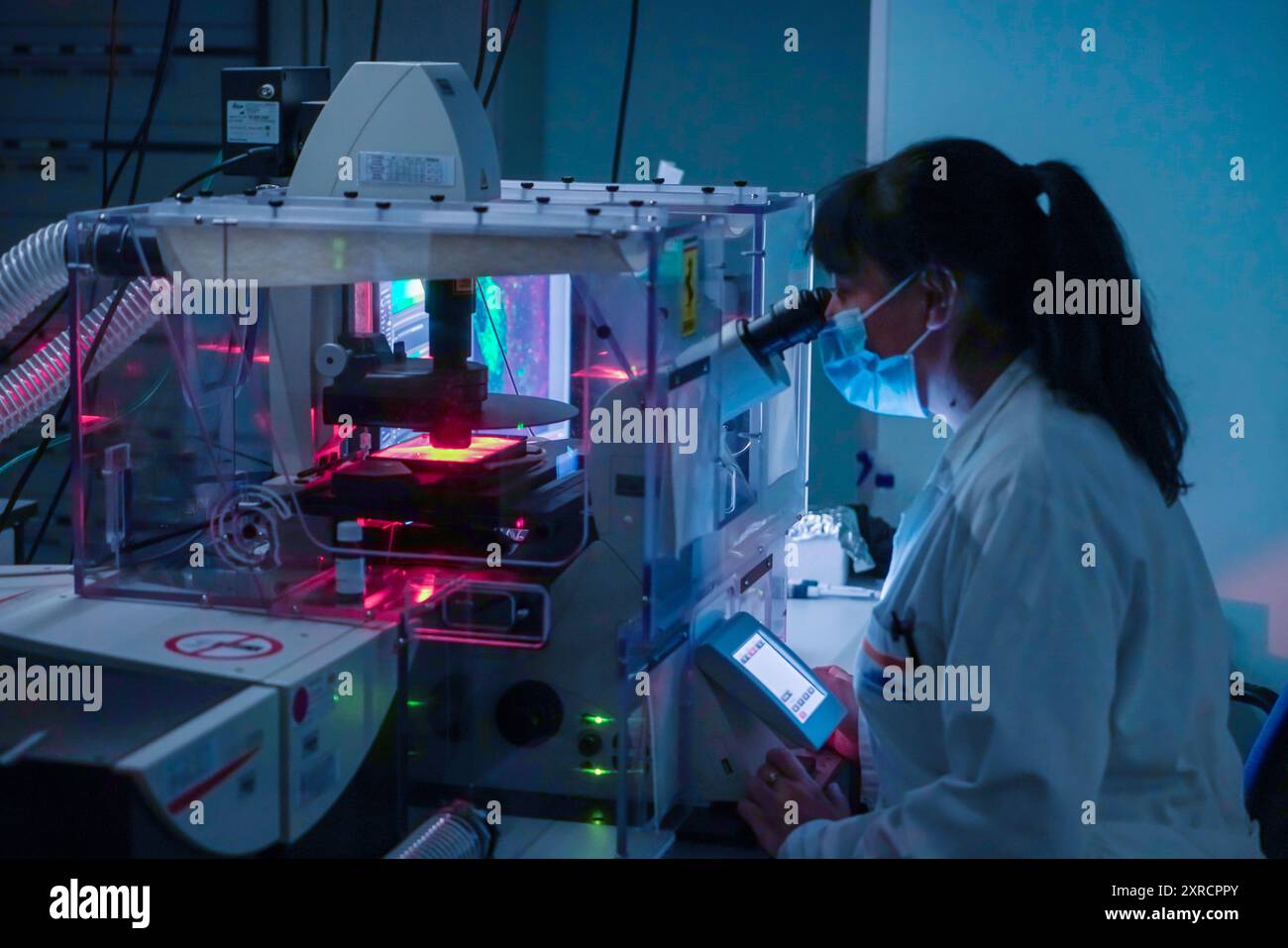 Torino, Italia - 19 ottobre 2021: Giovani ricercatori al lavoro in un laboratorio oncologico dedicato alla ricerca scientifica Foto Stock