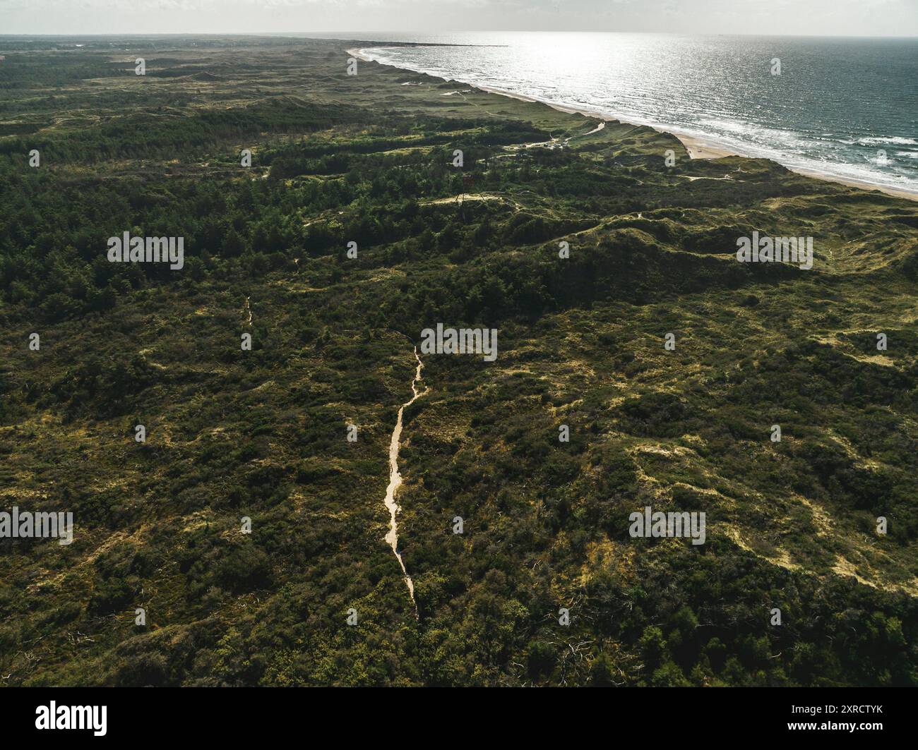 Vista aerea delle dune di sabbia del parco nazionale Thy sulla costa occidentale della Danimarca Foto Stock