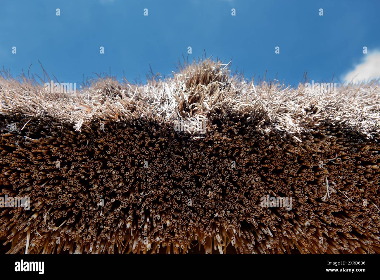 tetto a lamelle sullo sfondo blu del cielo. Foto ravvicinata. Foto Stock