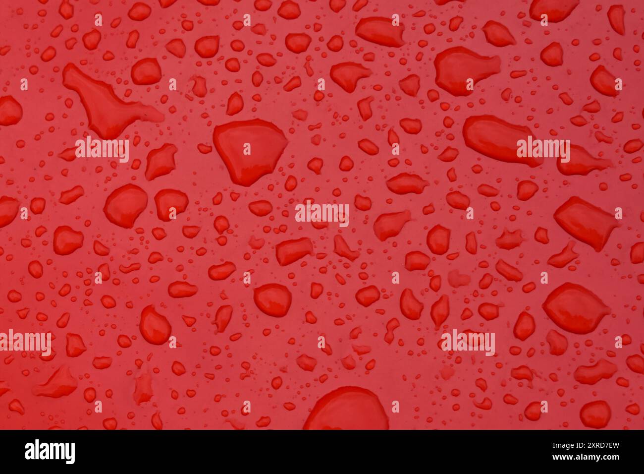 Gocce d'acqua su sfondo rosso. Foto Stock